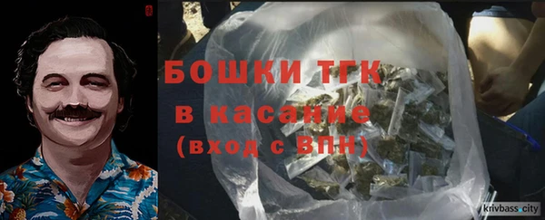 дмт Ельня