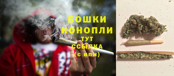 шишки Покровск