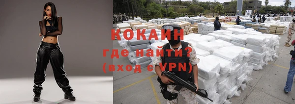 шишки Покровск