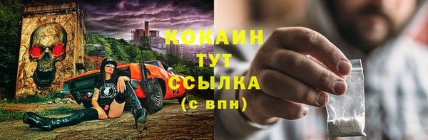 шишки Покровск