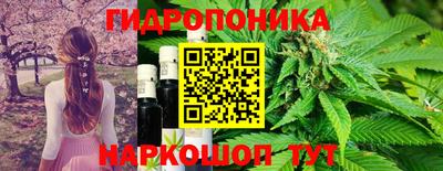 ГАЛЛЮЦИНОГЕННЫЕ ГРИБЫ Абакан