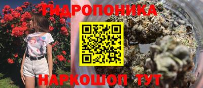 ешки Волжск
