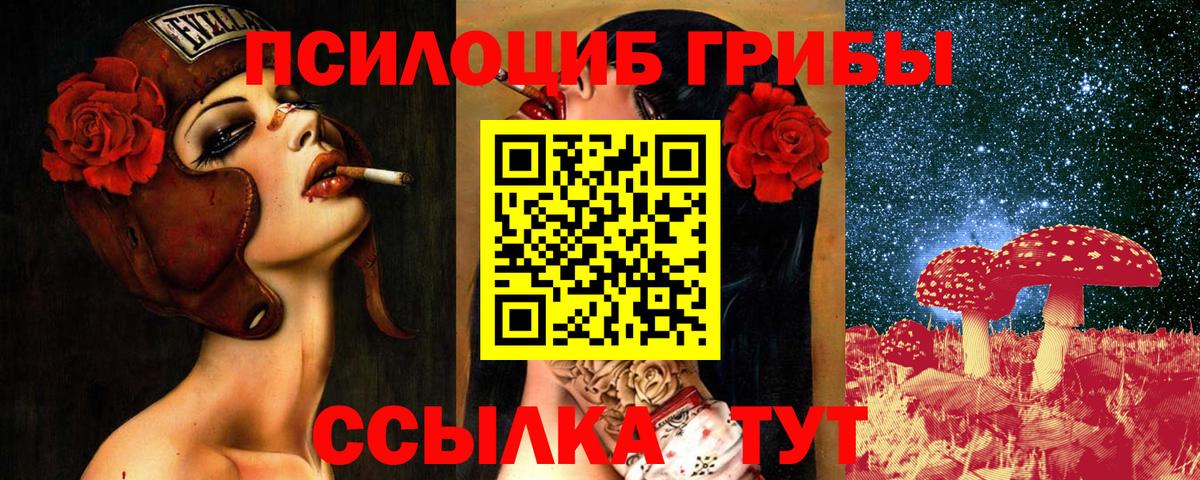 Апатиты  Галлюциногенные грибы мицелий  магазин продажи   Вход с VPN 