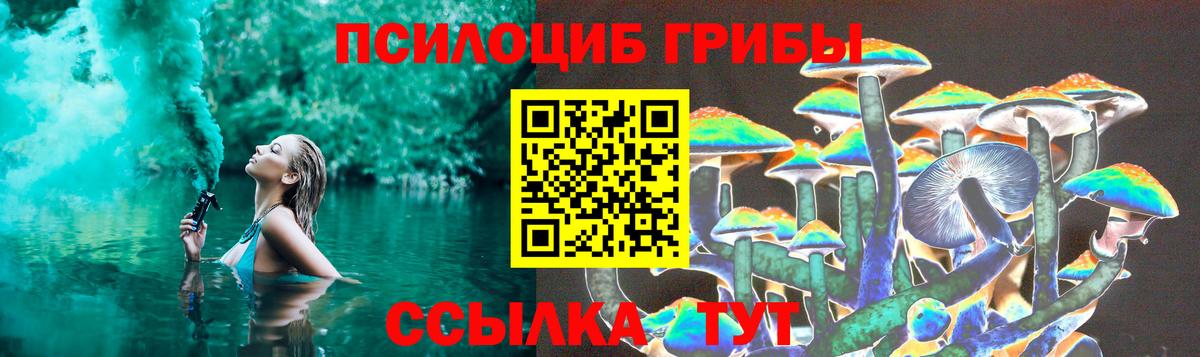 Псилоцибиновые грибы MAGIC MUSHROOMS Апатиты